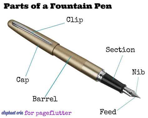 The Essential Guide to Fountain Pen Anatomy | Page Flutter