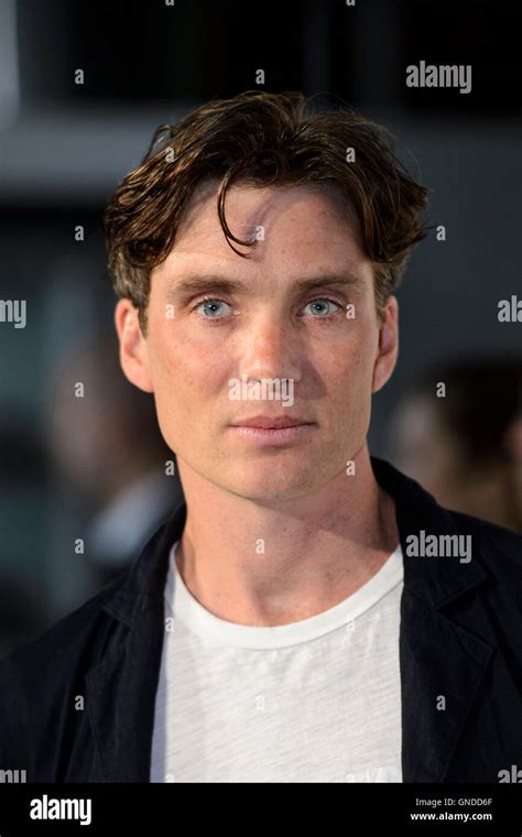 Cillian Murphy attends the UK premiere of Anthropoid at the British Film Institute, London Stock ...