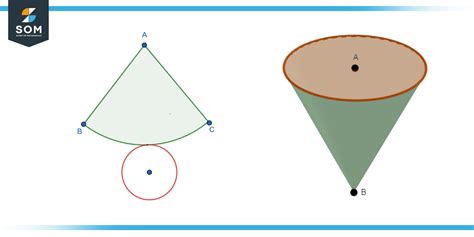 Cone Net - Definition, Properties, and Examples