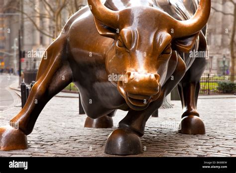 Bronze Wall Street Bull on Broadway in Lower Manhattan, New York City ...