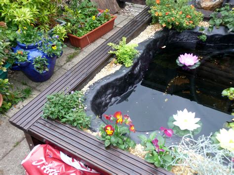 Small Wildlife Pond Edging Ideas : Backyard Pond Water Wildlife Garden Oregonlive | yunahasnipico