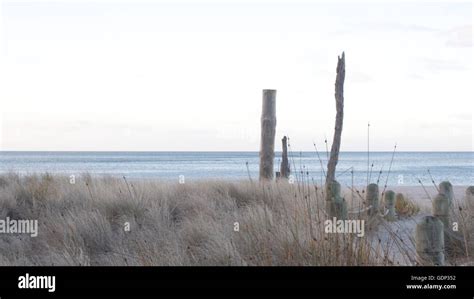 Beach in Tauranga, New Zealand Stock Photo - Alamy