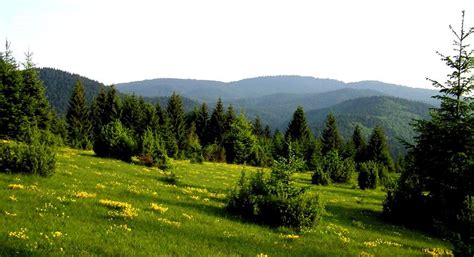 Zlatar Mountain