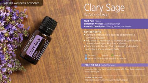 Clary Sage Oil | dōTERRA Essential Oils