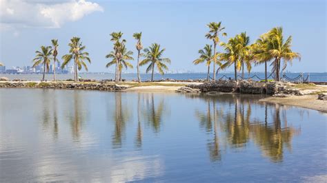 Matheson Hammock Park – Florida Hikes