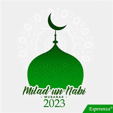 Maulid Nabi Muhammad SAW 2023 | Kaos Polos