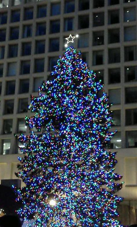 Christmas Tree Trivia, Facts and Comparisons