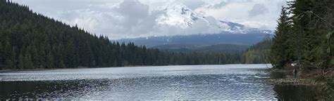 Trillium Lake Winter Loop: 593 Reviews, Map - Oregon | AllTrails