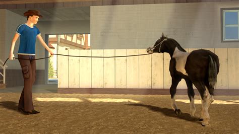 My Riding Stables: Your Horse breeding on Steam