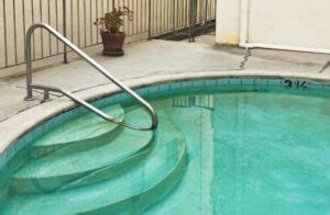 How to Get Rid of Mustard Algae & Prevent It - Pool Research