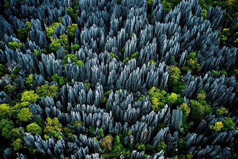 9 Madagascar National Park Reserves: Amazing Ecosystem - Life Simile