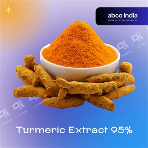 95% Turmeric Extract Powder at Rs 3700/kg | Turmeric Extract in New ...