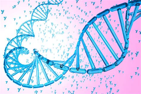 Big Y 700 DNA test results yield new haplogroup branches and “Time Trees” for C-P39 Y DNA ...