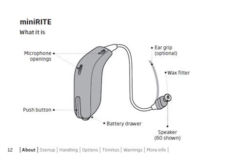 Oticon Hearing Aid Parts Diagram | Reviewmotors.co