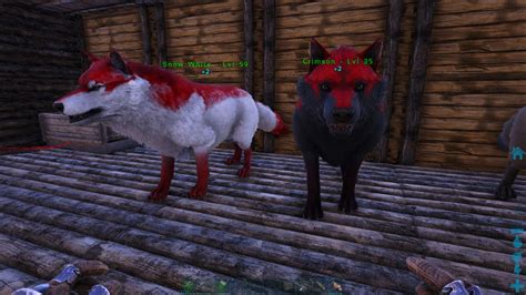 So far my event wild caught mutated Dire wolves :D (Both females) : r/ARK