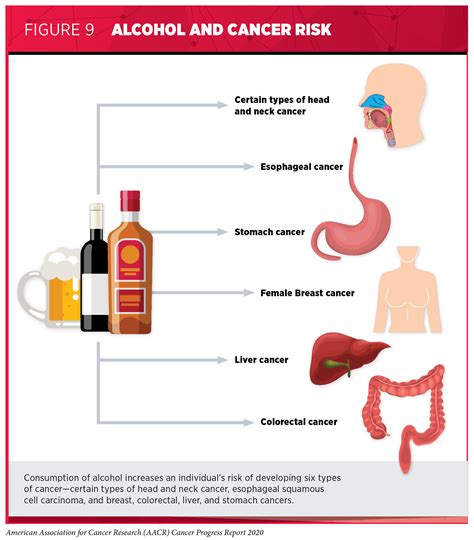 Does Alcohol Cause Cancer? | The Sober Dietitians