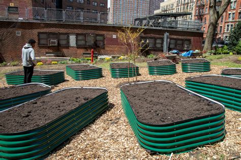 NYCHA Celebrates New Community Garden at Manhattanville Houses - The ...