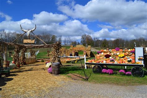 Fall Festival at The Farm at Walnut Creek | Ohio's Amish Country