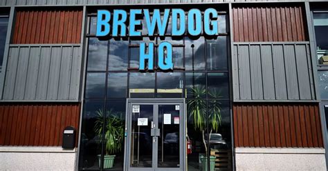 BrewDog: Popular brewing company looking to move to Bath - Somerset Live