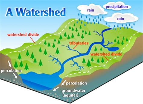 What is a Watershed? - Riverside-Corona Resource Conservation District