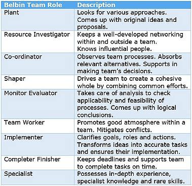 Project Team Roles and Responsibilities - apppm