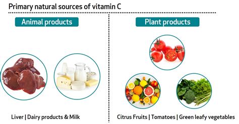 Benefits Of Vitamin C And Zinc | Sources Of Vitamin C | Bioanalyt