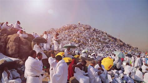 Day Of Arafah 2024 - Betsy Lucienne