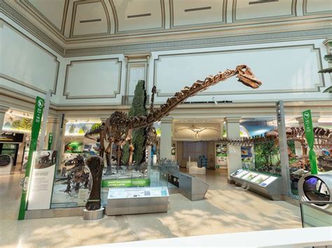 Amid All the Fossils, Smithsonian's New Dinosaur Exhibition Tells the Complex Story of Life ...