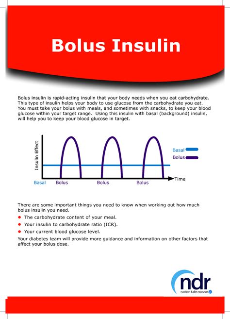 Bolus Insulin | Nutrition and Diet Resources