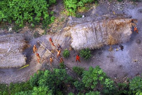 New uncontacted tribe discovered in Brazil needs to be protected from outsiders, scientists warn