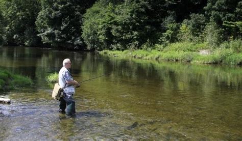 Top 5 Severn River Fishing Hotspots - FishermansAuthority.com