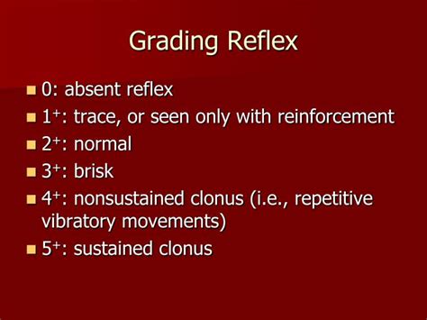 Tendon Reflex Grading