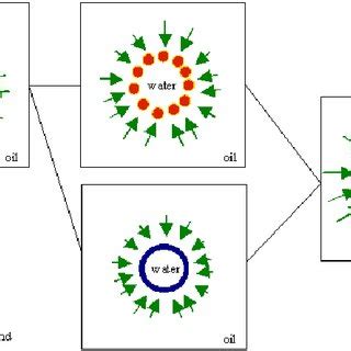 Preparation scheme of microemulsion systems applied as templates for ...