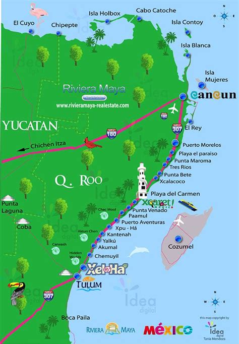 Riviera Maya | Mapa de cancún, Cancún méxico, Lugares magicos de mexico