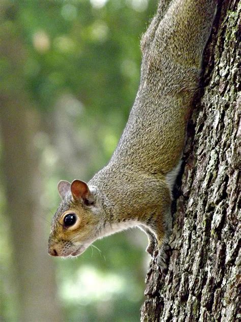 Hanging Around Photograph by Lysnick Photography - Fine Art America