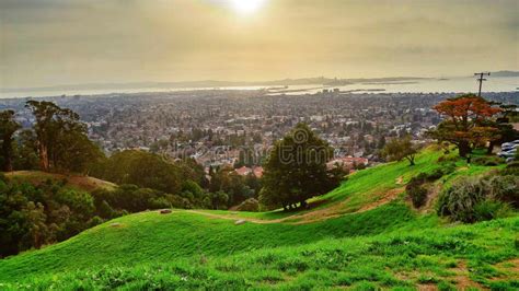 City View from Grizzly Peak in Berkeley Hills Onto Berkeley, Oakland ...