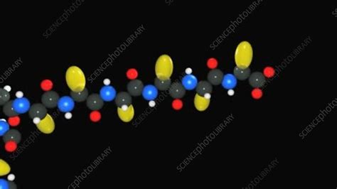 Protein folding, animation - Stock Video Clip - K003/9306 - Science ...