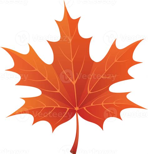 autumn leaves cutout 12629315 PNG