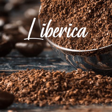 Liberica coffee beans - The best options available on Amazon