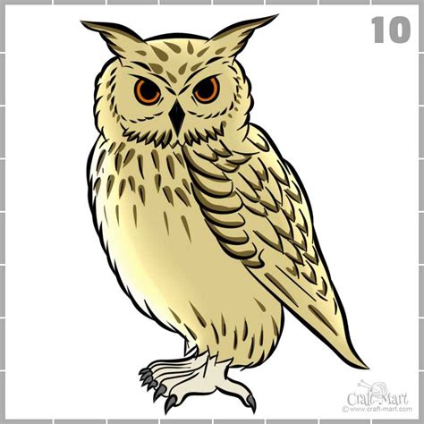 213-drawing-owl-step-10 - Craft-Mart