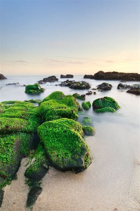 Tranquil Beach Scene in Soft Light Stock Image - Image of outdoor ...