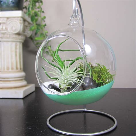 15 DIY Terrarium Ideas to Add Some Green to Your Decor