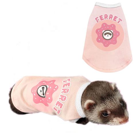 Ferrets In Costumes