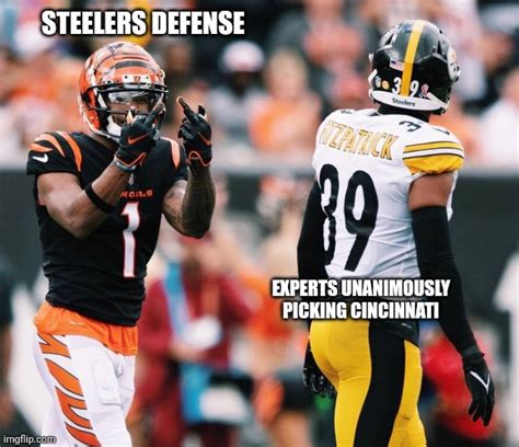 sports memes are the best memes : r/steelers