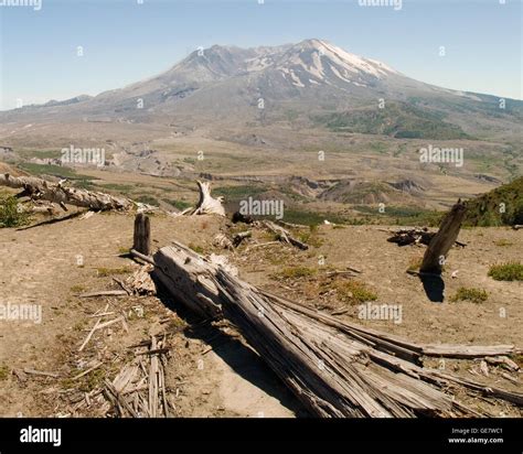 Mount St. Helens is an active volcano in Washington State in the United States' Pacific ...