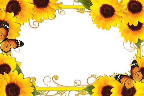 10,221 BEST Sunflower Border IMAGES, STOCK PHOTOS & VECTORS | Adobe Stock