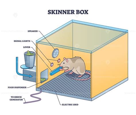 Skinner box or operant conditioning chamber experiment outline diagram - VectorMine