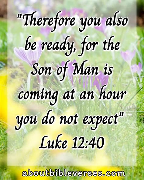 [Best] 14+Bible Verses About Jesus Is Coming Soon And Second Coming Of Jesus