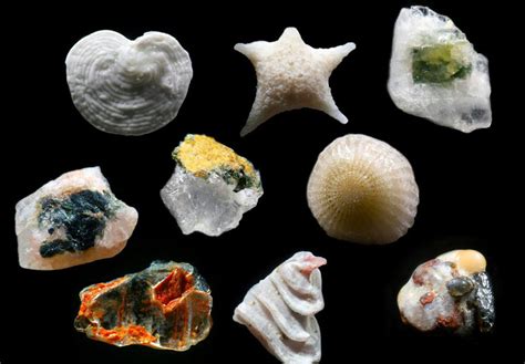 This Is How Sand Looks Magnified Up To 300 Times | Bored Panda