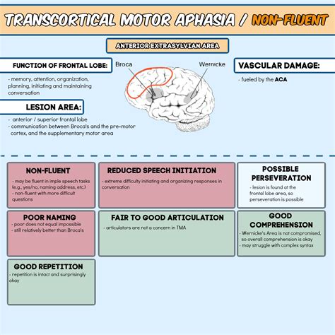 Treatment of wernicke s aphasia twa guide for speech therapy – Artofit